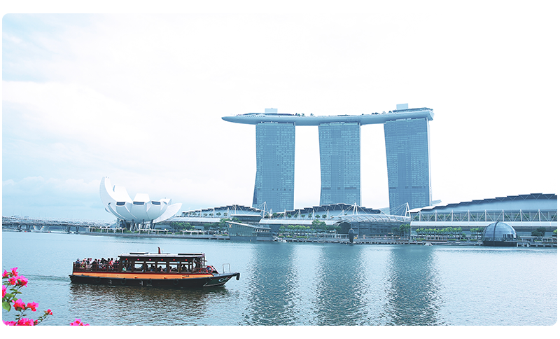 新项目敬请期待